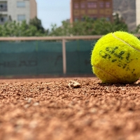 Tennis Ball