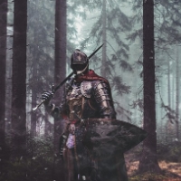 Knight in the Woods